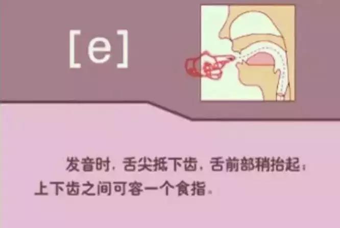 音标发音48个正确发音口型,小学英语音标发音48个口型