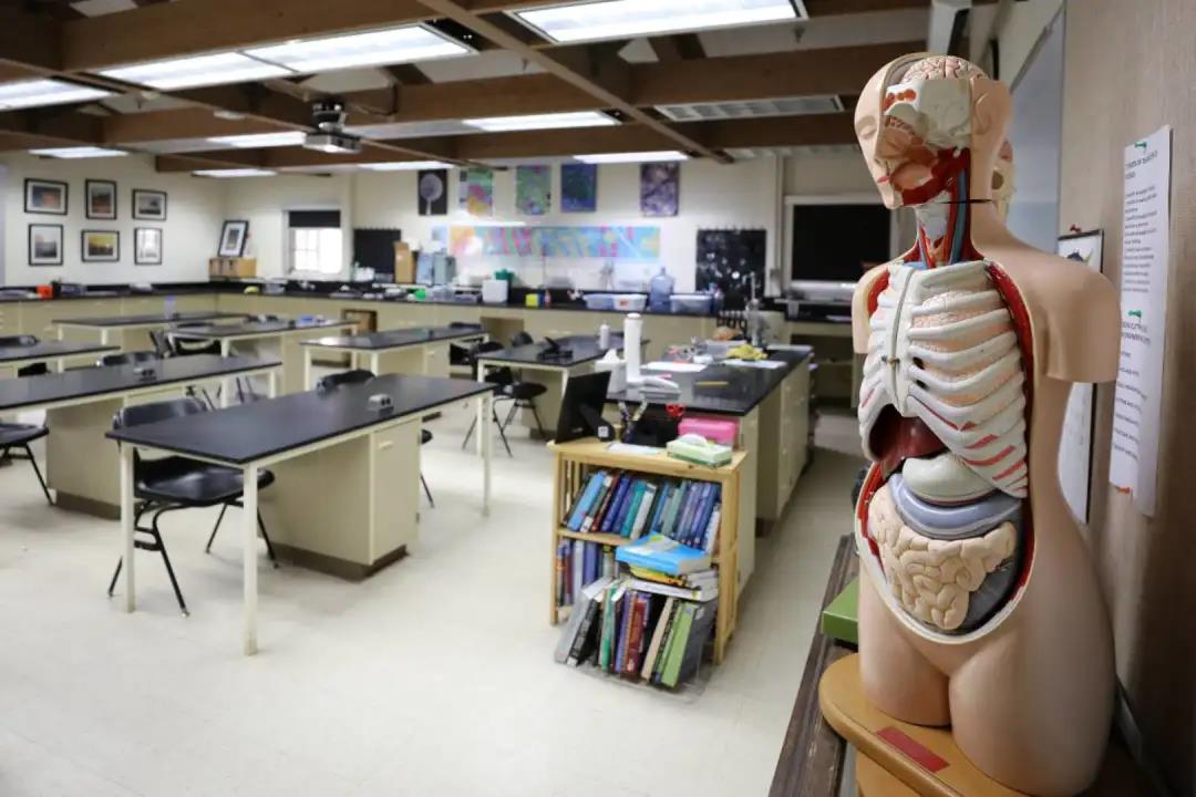 从大选来看美国的政治制度,美国总统大选给我们的启示