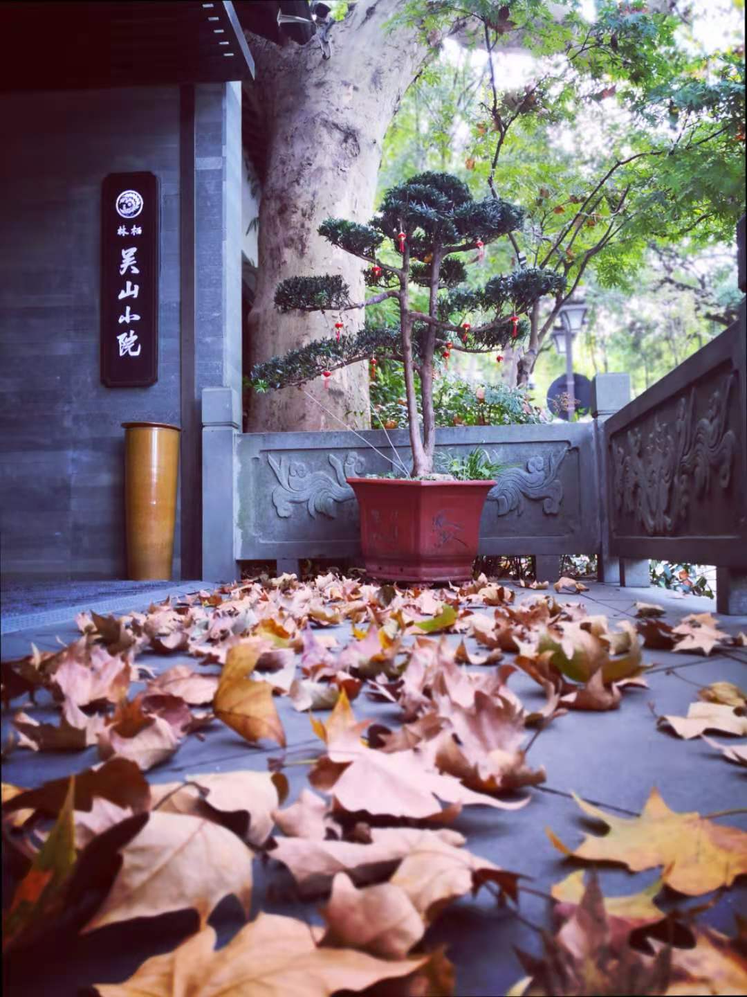 杭州西湖喝下午茶看风景的地方,西湖边赏景下午茶