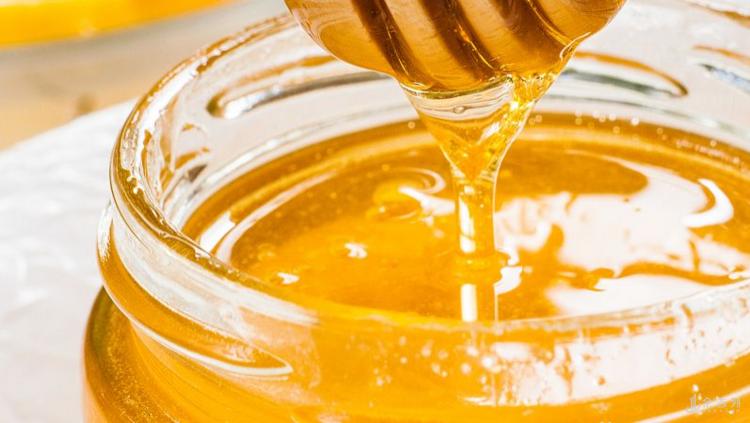 缇庡浗椋炴満绂佸甫鐗╁搧,缇庡浗鍏ュ绂佹鎼哄甫鐗╁搧娓呭崟