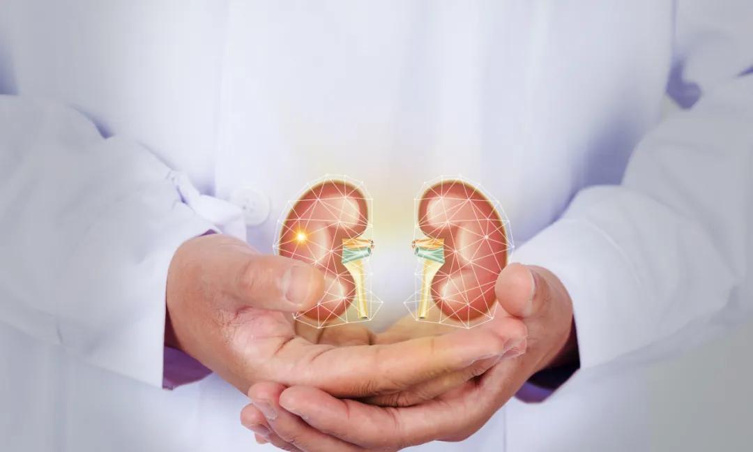 世界肾脏日邀您共同关注肾脏健康,世界肾脏日保护肾脏的8个好习惯