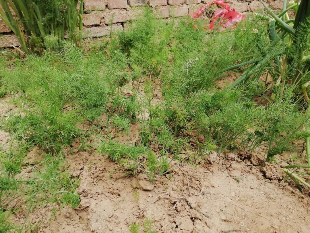 闲着木事儿，你来俺家玩儿呗