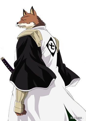 死神护庭十三番队详细介绍,死神护庭十三队长