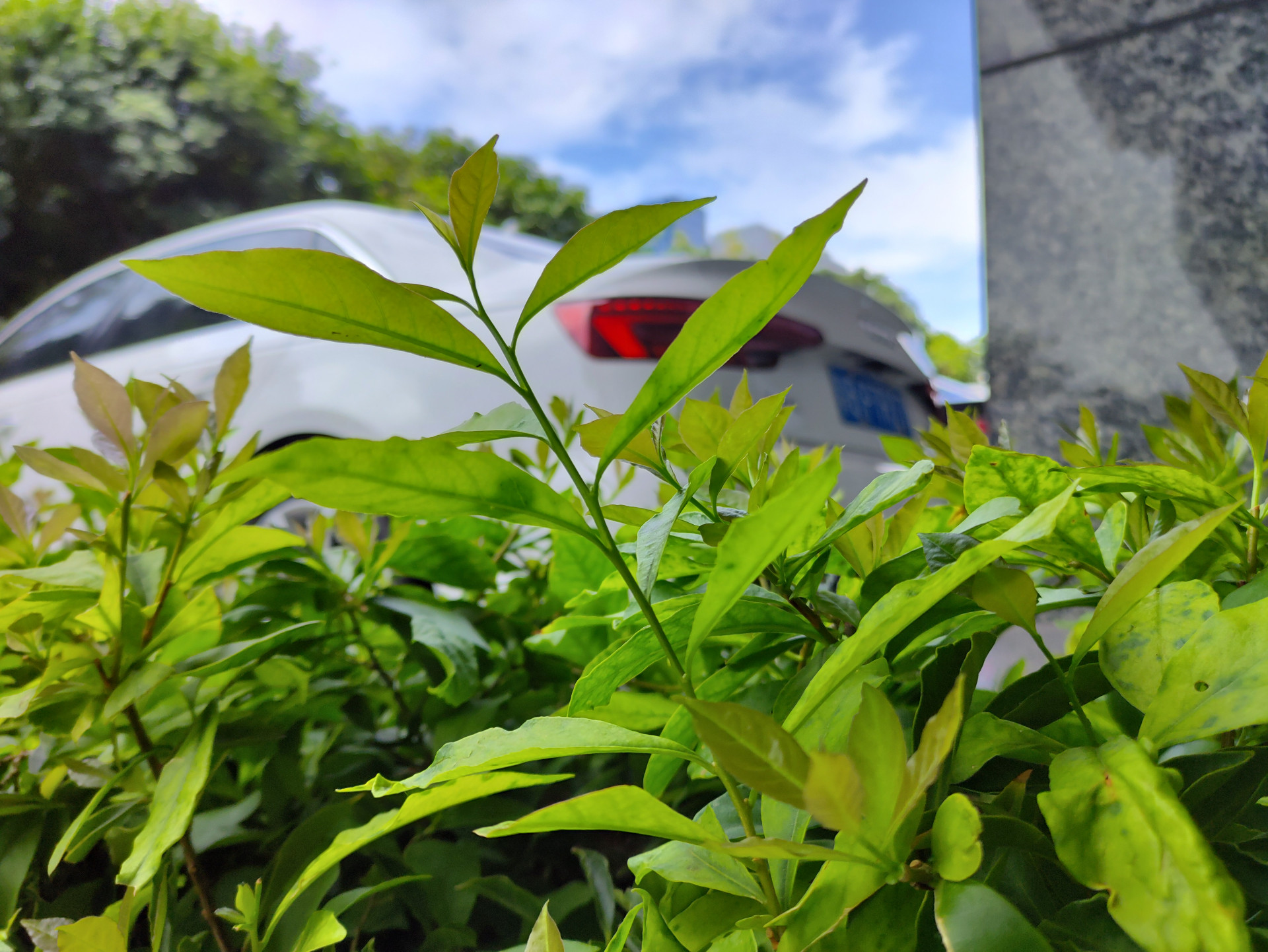 中兴axon30屏下版发布会全程回顾,中兴axon30和中兴axon20对比