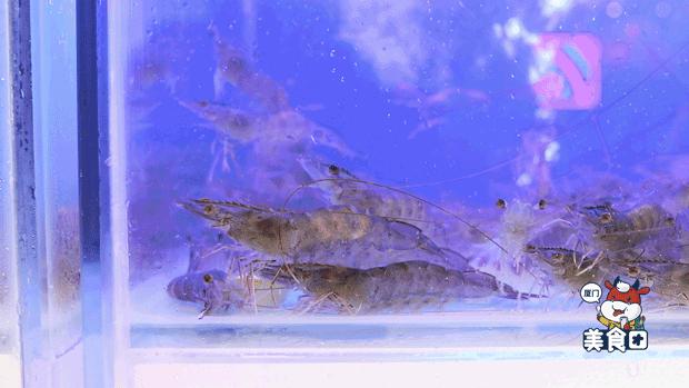 贵妇“黄金”锅!绝了,每一口都堪比SKII