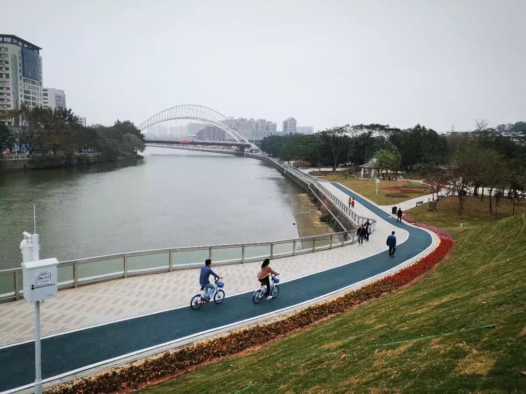繁花似锦樱花美景,繁花似锦的花海