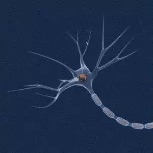 刺激脑电波提高注意力,提高专注脑电波