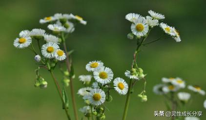 灵性觉醒篇20,灵性觉醒完整版
