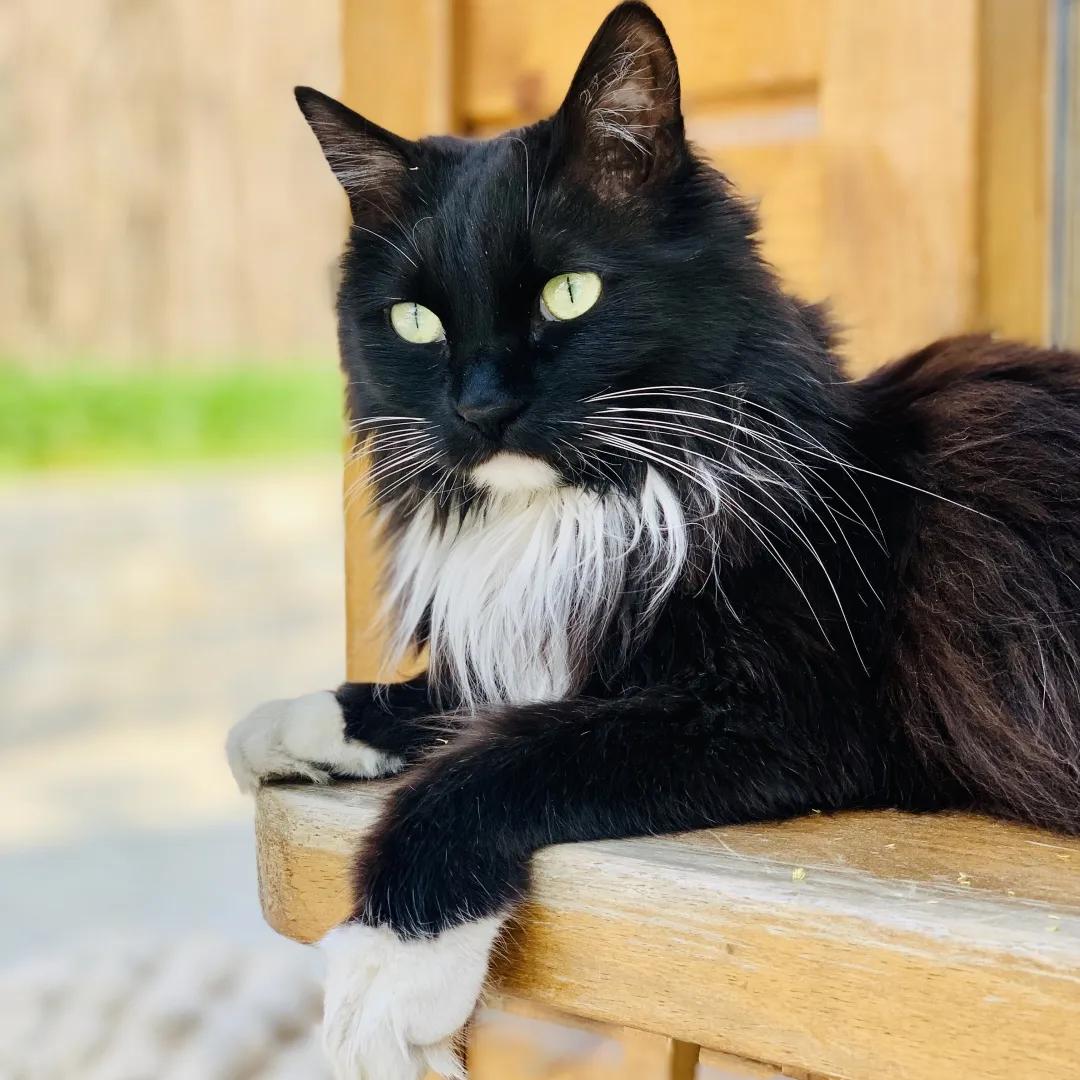 2019年掉缸事件,关于掉缸的事件