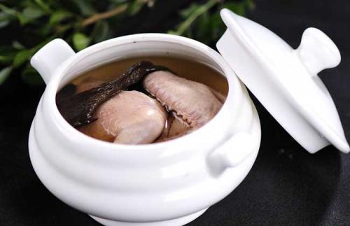 鸽子，一股来自蓝天的神秘力量