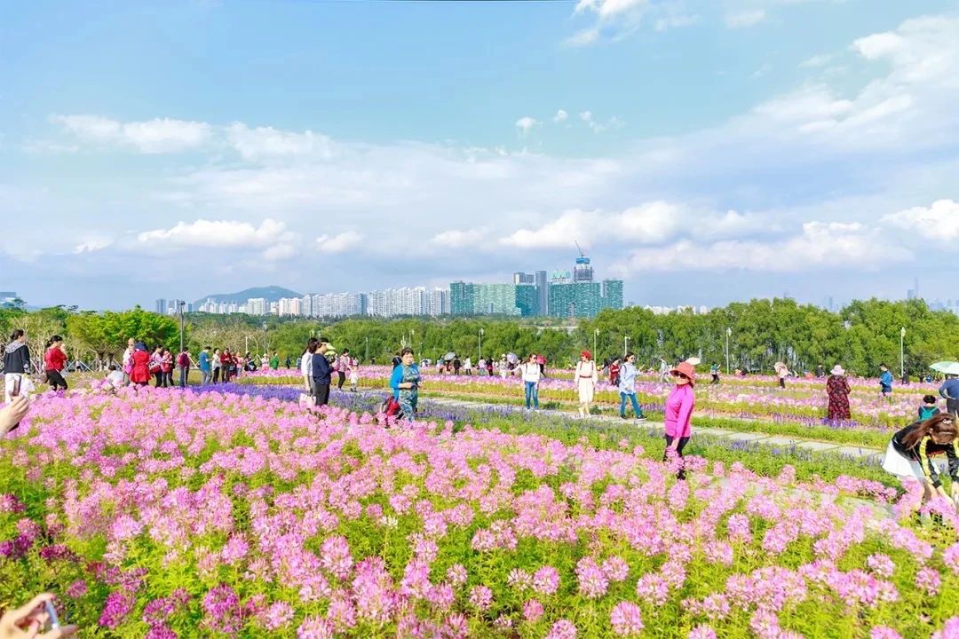 深圳看海去哪里比较好,深圳出地铁就看海的地方是哪里