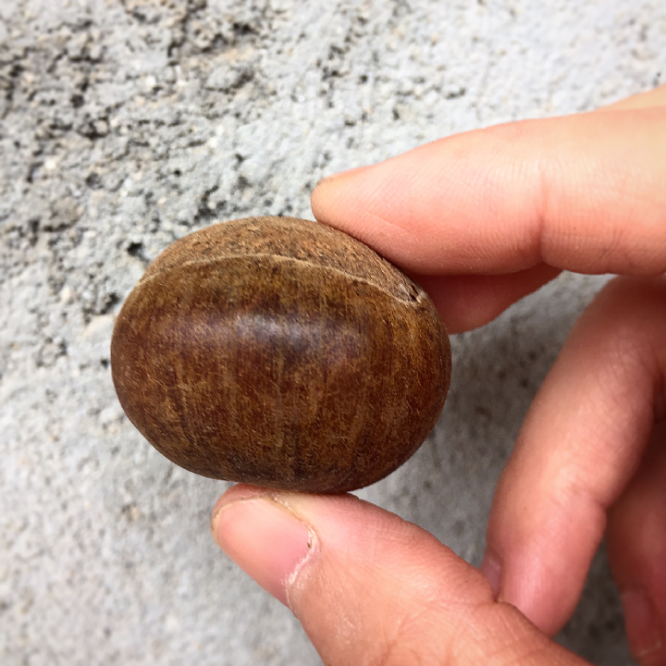 挑选板栗,怎样挑选板栗不容易变黑