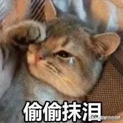 成都现在开放了的游泳池,成都游泳池哪些地方开放了