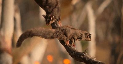 豆瓣9.6！娃刷到停不下来，还能看出人生大道理