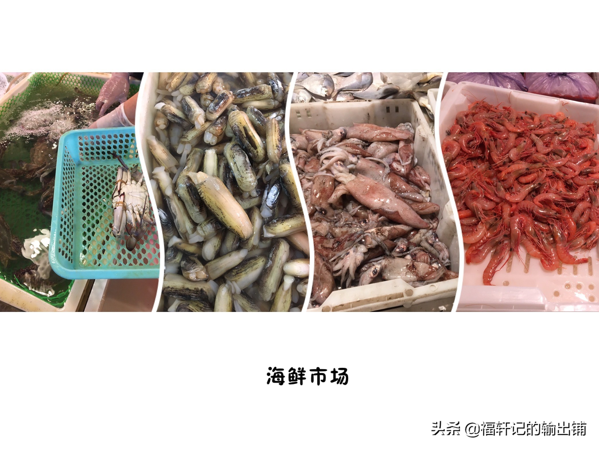 舟山旅游攻略朱家尖视频,舟山朱家尖旅游攻略二日游自由行