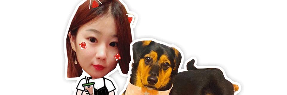 猫绝育怎么判断伤口是否感染,绝育手术猫术后护理