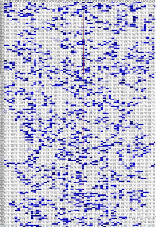 找水定井最简单的方法,打井测水的正确方法