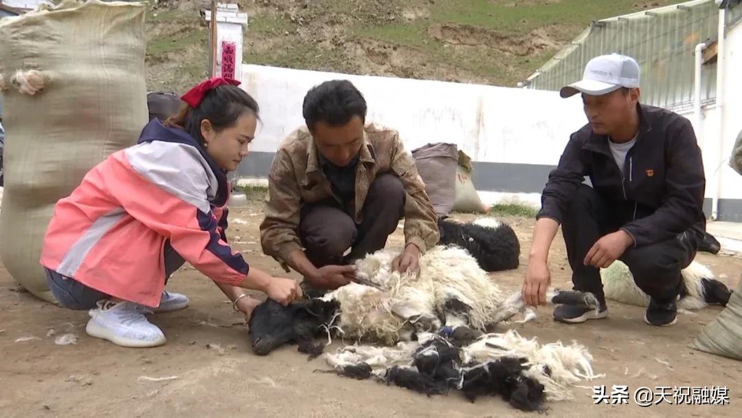 毛藏乡：“惠民服务大厅”流动的一天