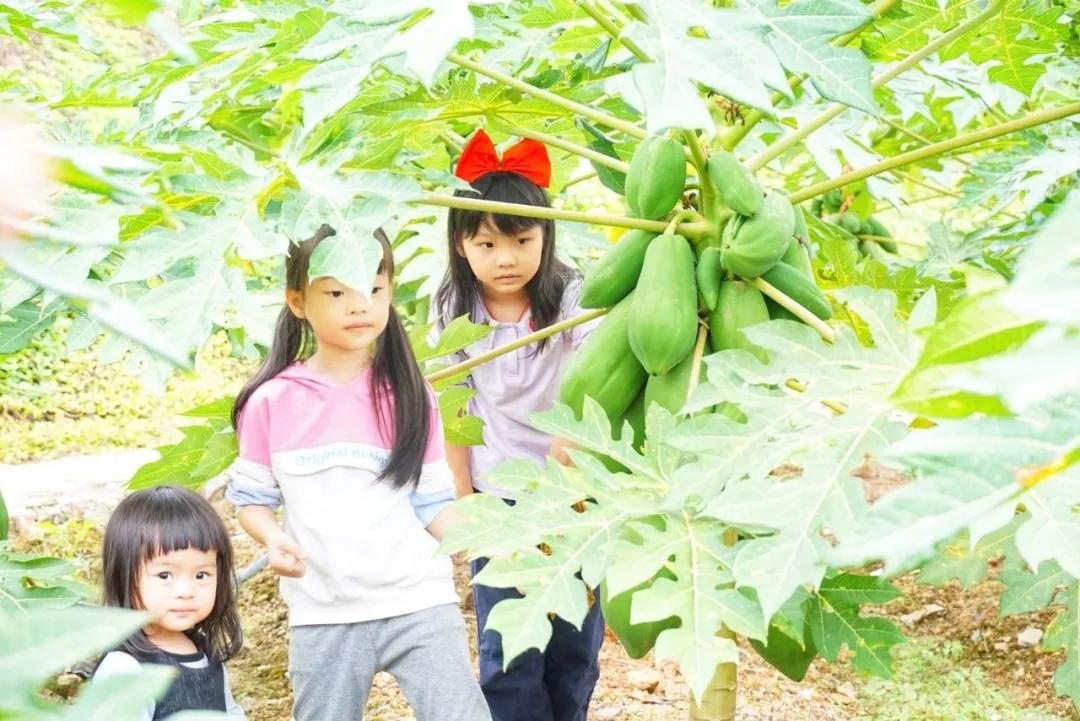 广州白水寨度假区酒店推荐,这家酒店
