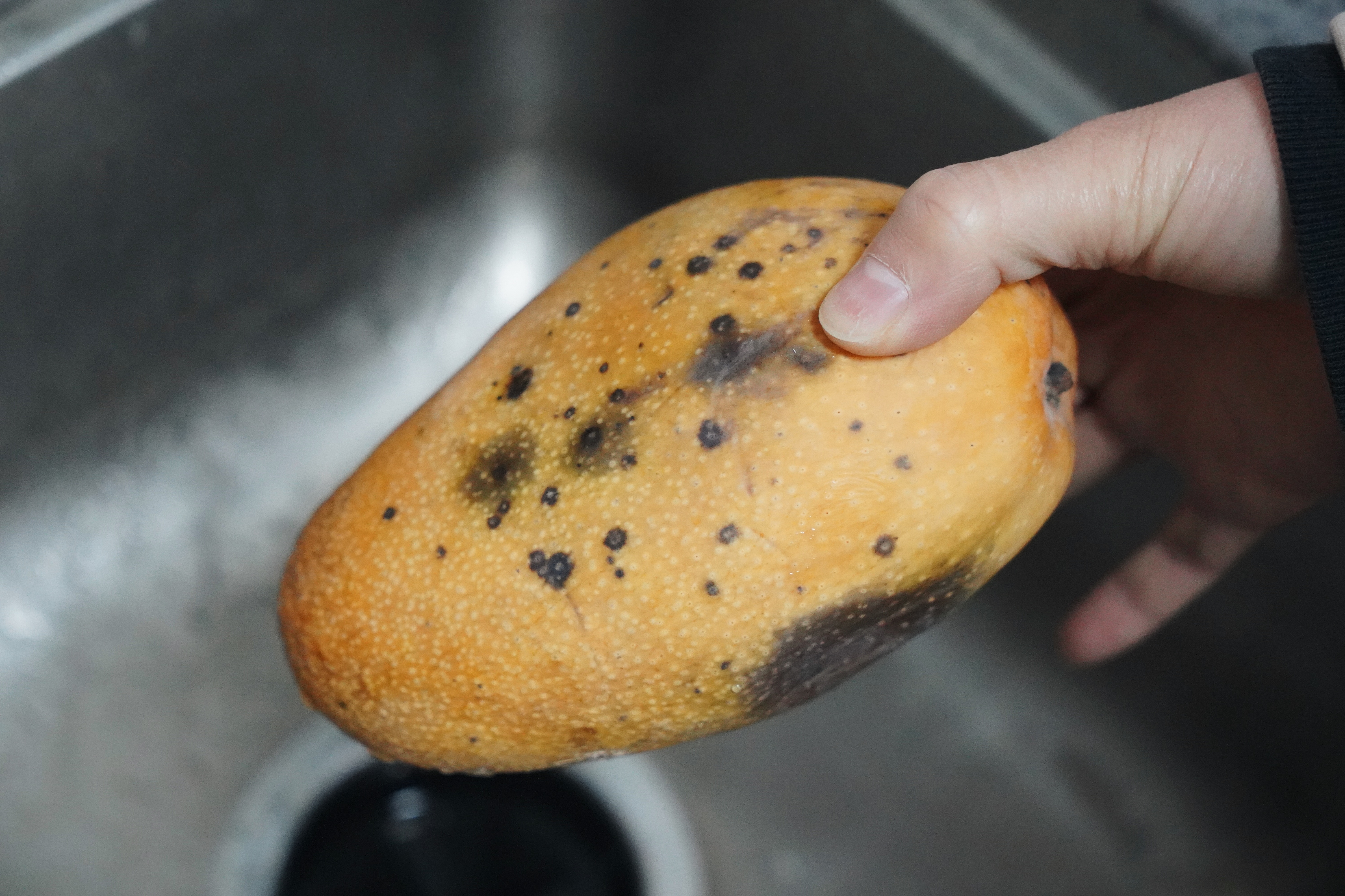 家电收纳好物推荐平价,厨具好物收纳推荐