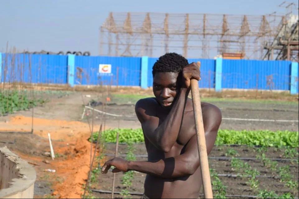 在安哥拉当黑人管理部部长1回忆我在非洲安哥拉的日子（十七）