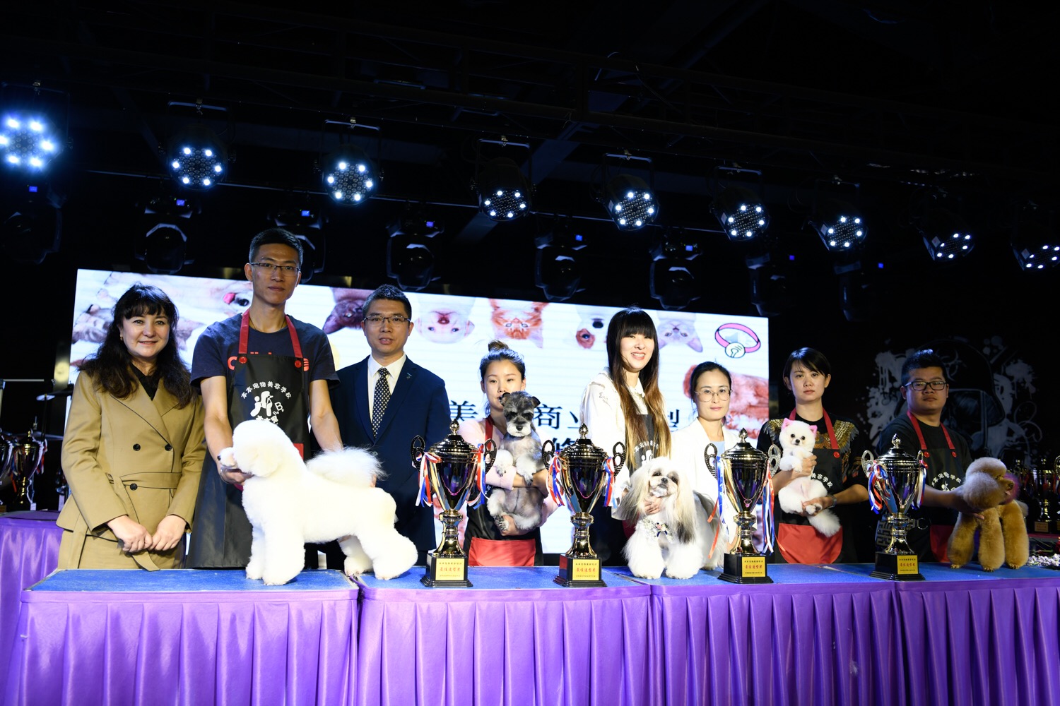 首届宠物美容商业造型交流会暨萌宠修剪赛圆满落幕