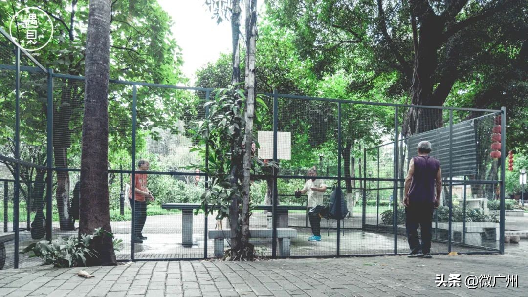 广州芳村未来发展趋势,广州荔湾芳村cbd