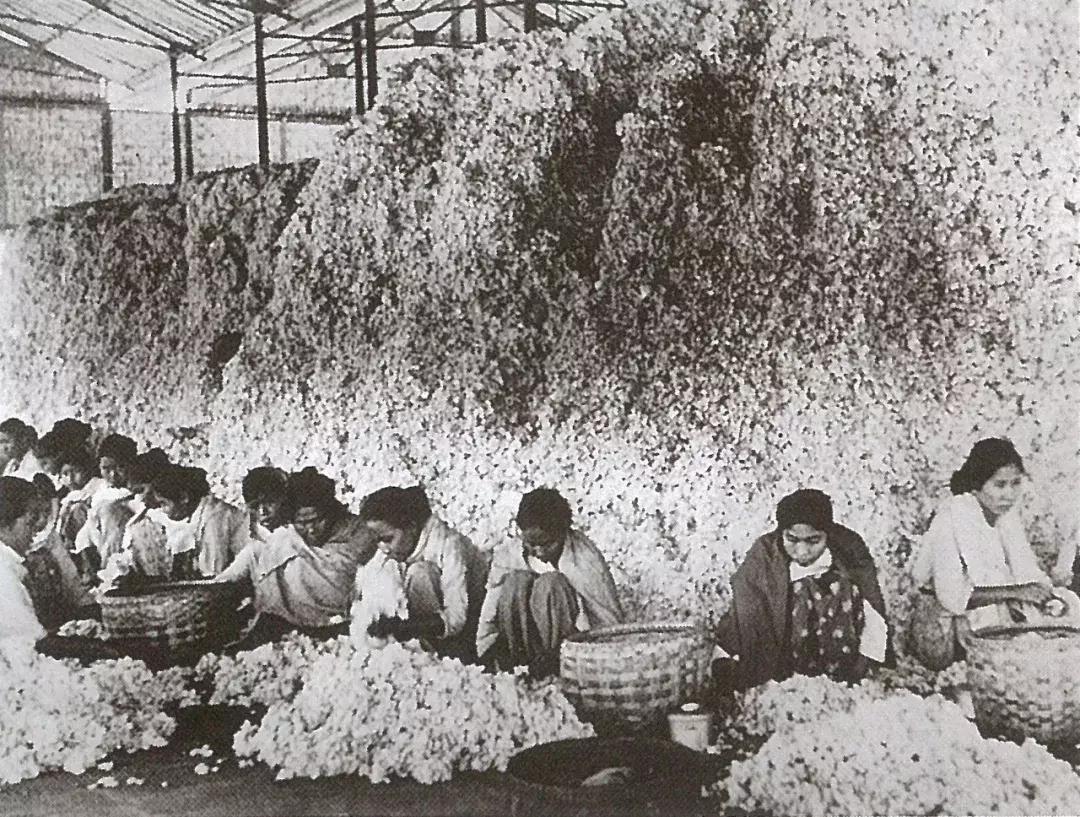 旅行中总会遇到形形色色的人,旅行中总是有两种人