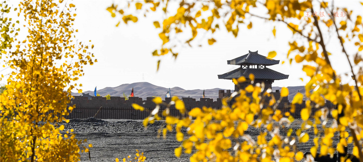 第一次去看胡杨的感触,第一次体验到沙漠乐趣