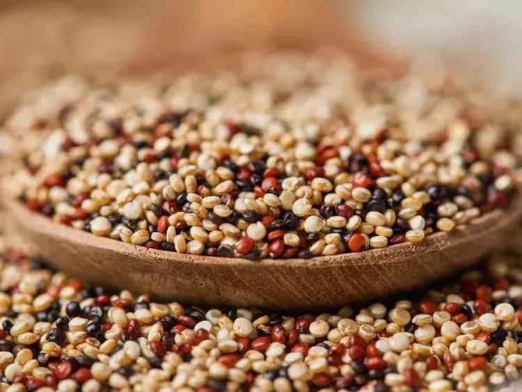 网红食品藜麦,正宗藜麦营养