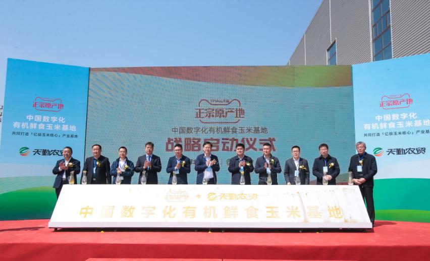 一年包销1亿元鲜食玉米！阿里巴巴“数字粮仓”落户张家口