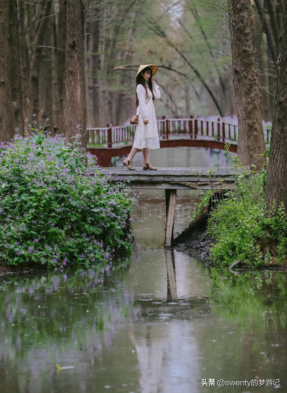 绿野仙踪越南完整版,隐藏在大山深处的绿野仙踪