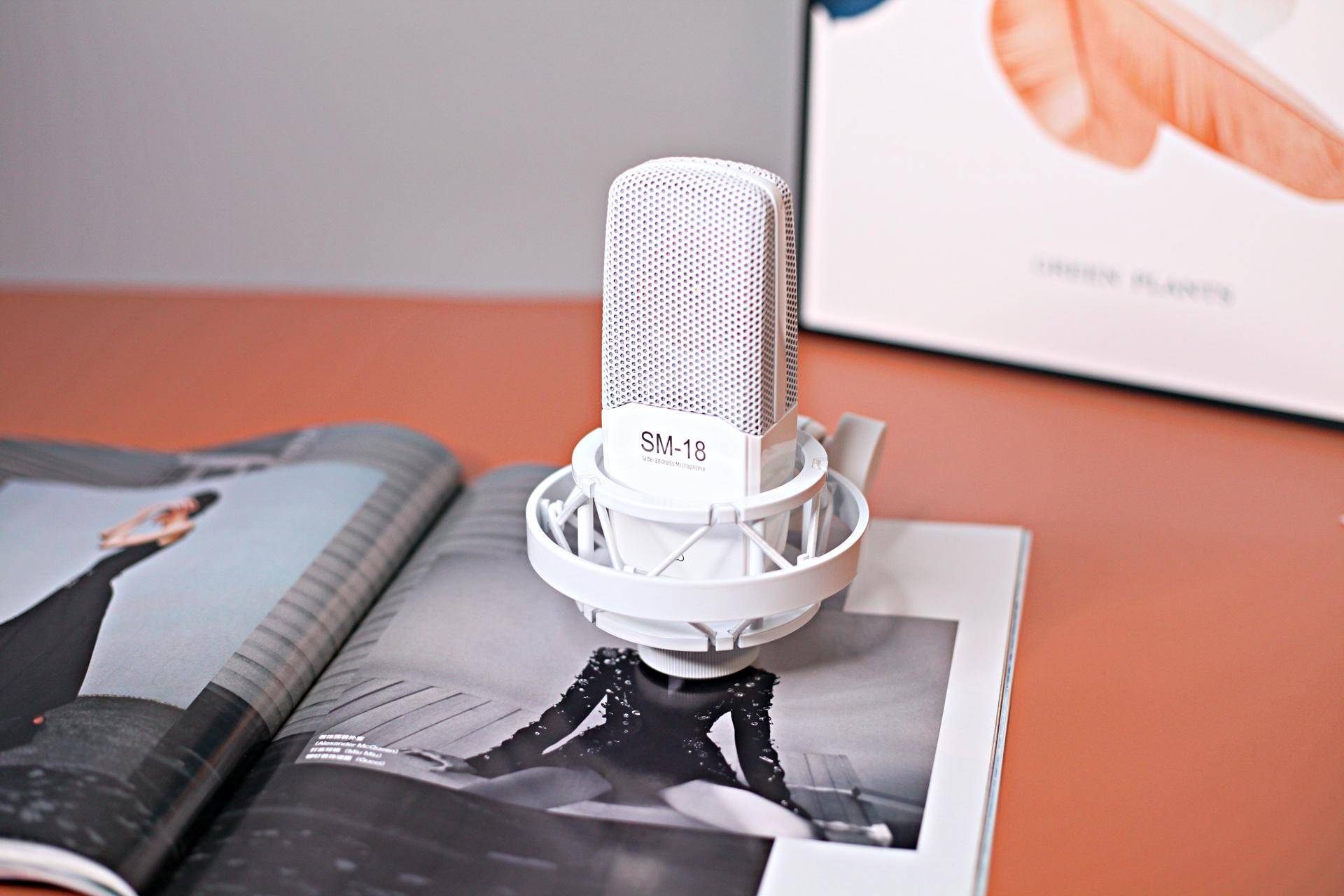 得胜sm-18麦克风怎么样,得胜sm18pro麦克风上的开关