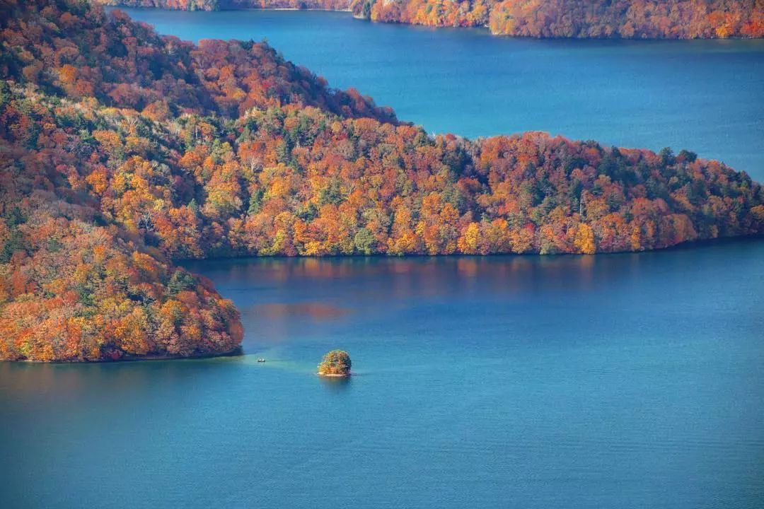 停车坐爱枫林晚，感受火红的秋