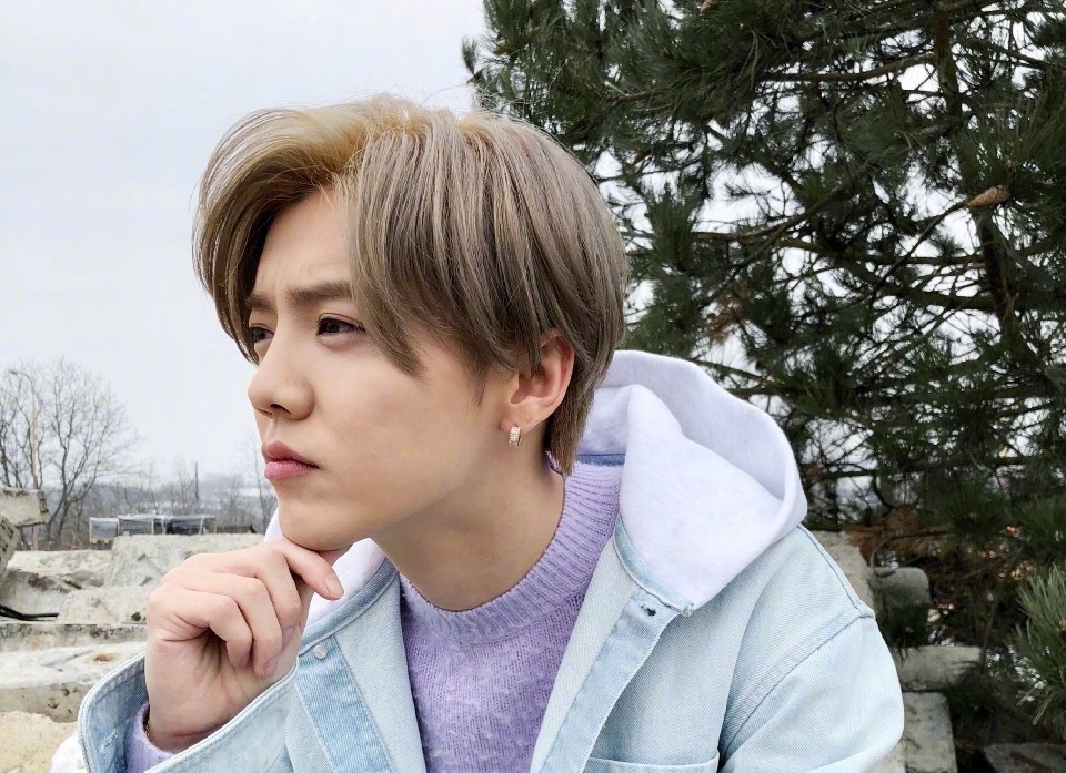 鹿晗的6000万粉丝,鹿晗粉丝有五千万吗