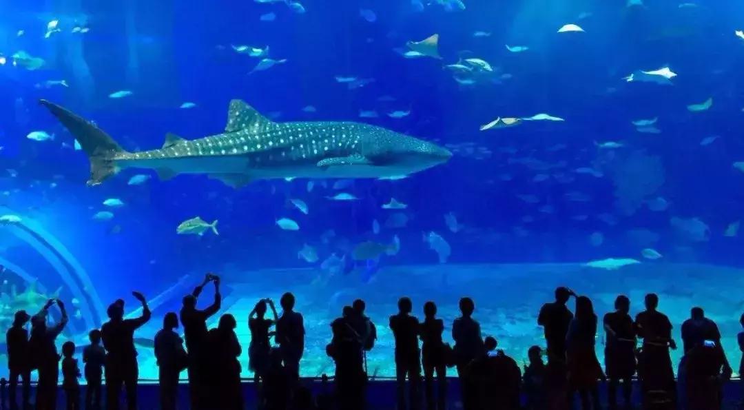 恋恋冲绳丨有一种海水的蓝，叫做“果冻蓝”