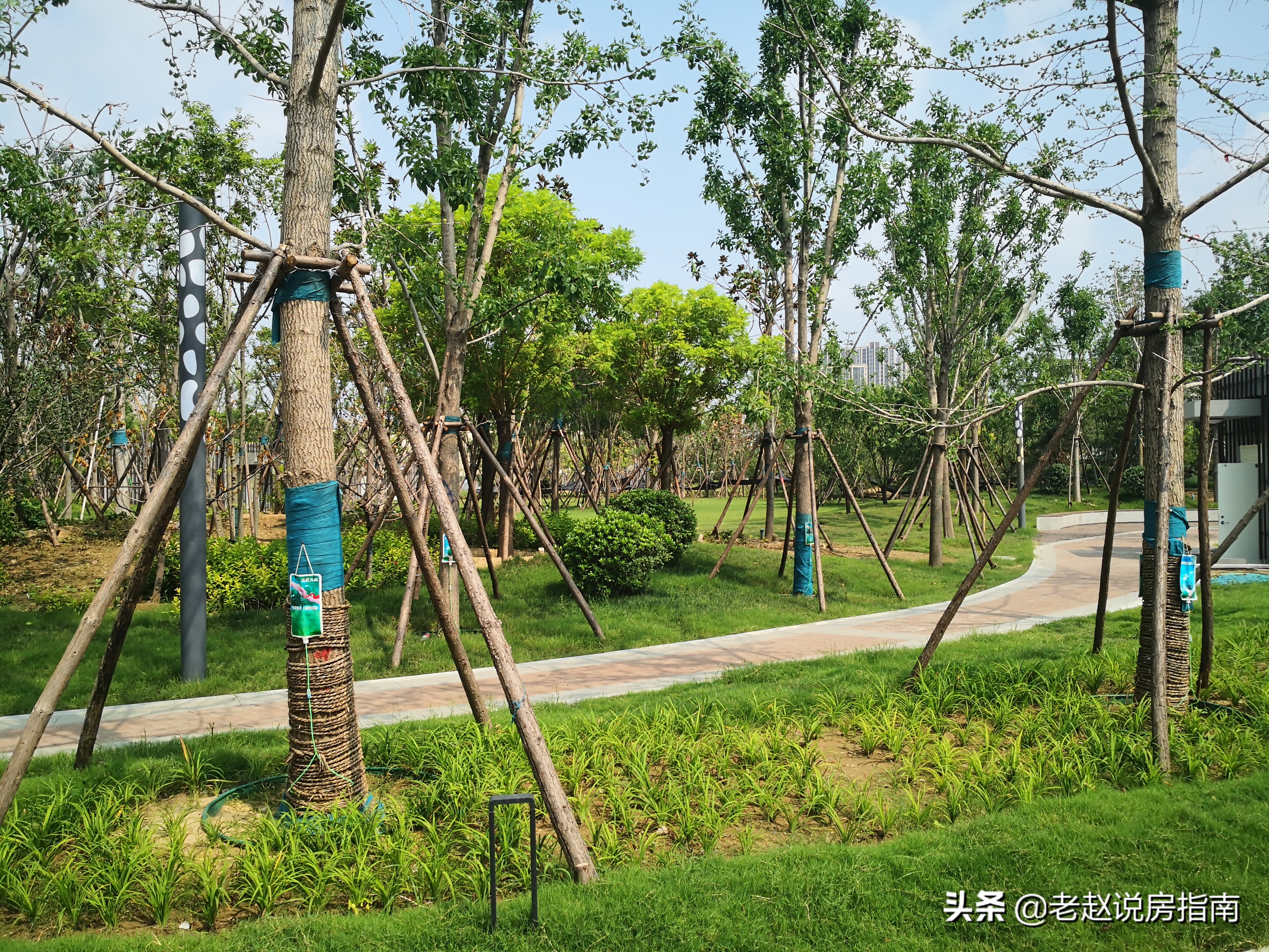 金水北热销楼盘,金水北房价未来