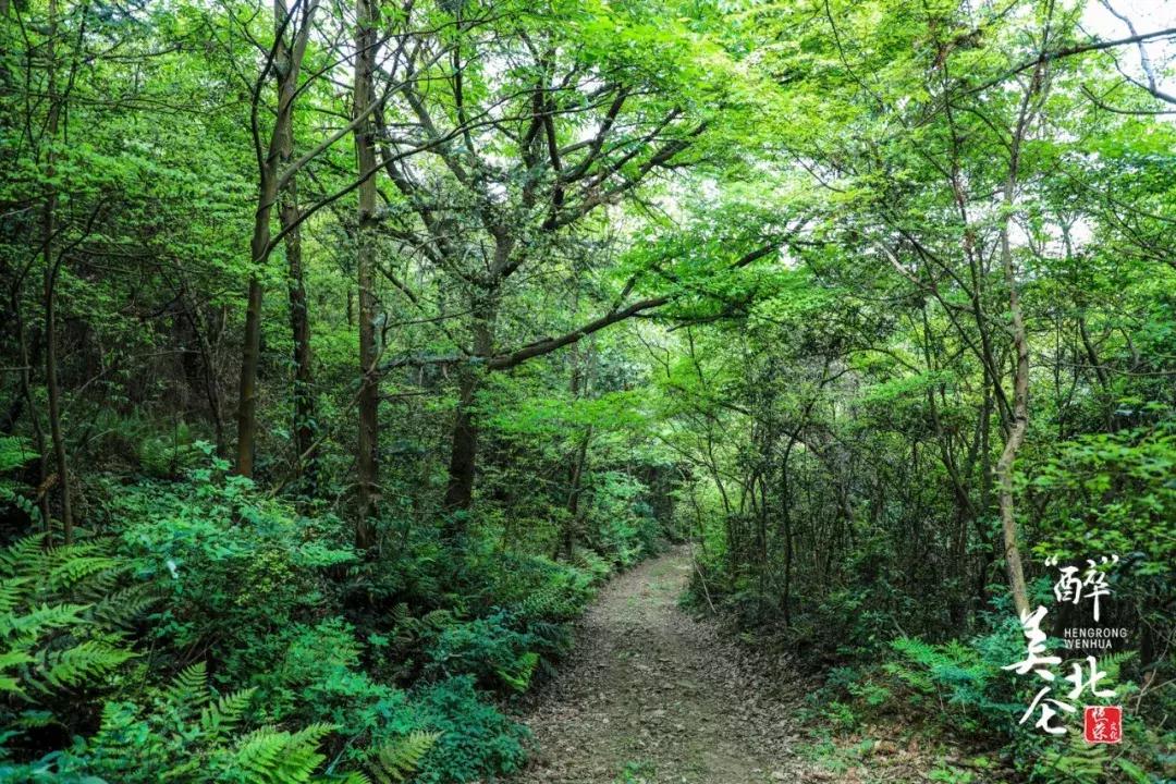 北仑摩天轮俯瞰北仑,可俯瞰北仑