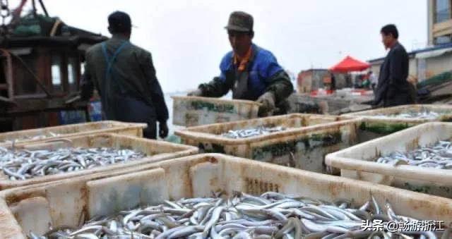 被苏州抢去风头的浙北冷门小县城，其实暗藏着一个美食江湖