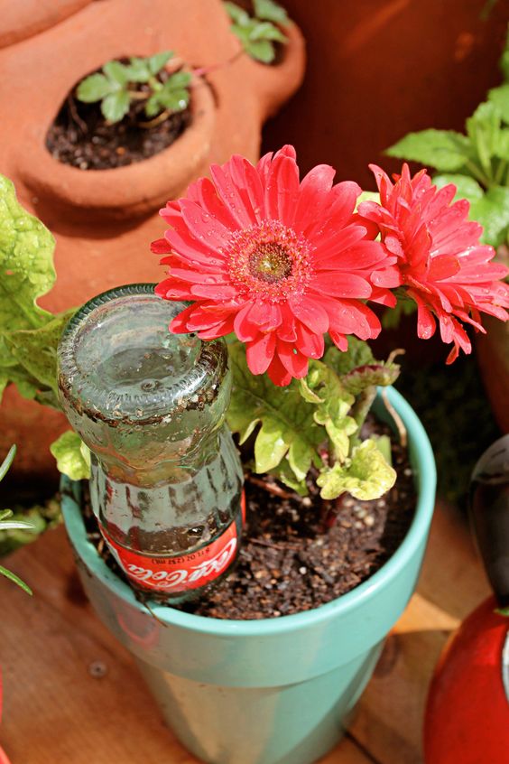 出差旅行利用什么可以自动浇花,大瓶矿泉水瓶浇花