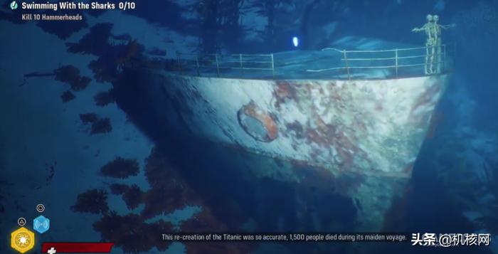 食人鲨从哪里买的,食人鲨值得买吗