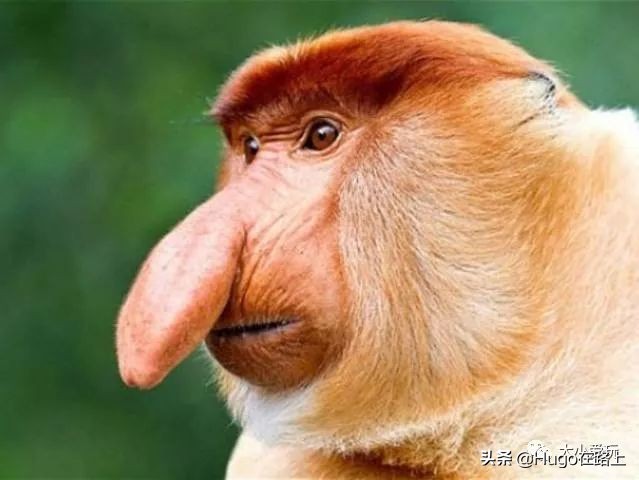 亲子海岛旅行攻略,7月最适合亲子游的海岛