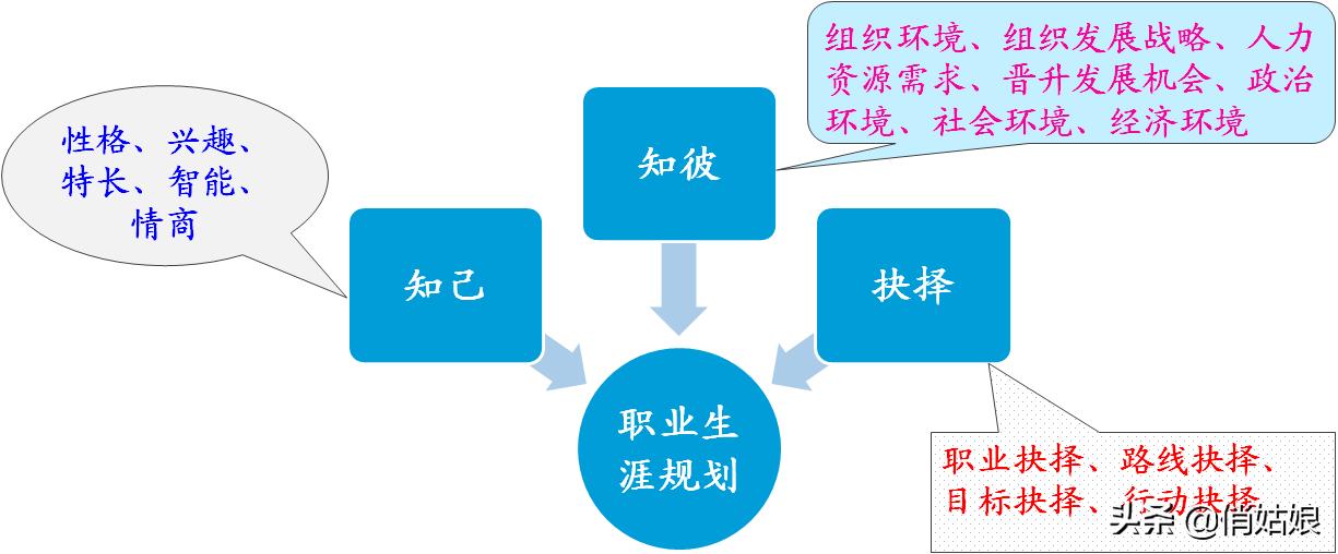 如何量身打造自己的职业生涯规划,职业生涯规划的四个阶段初学者