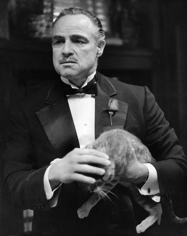 教父最伟大的电影,教父为什么值得一看