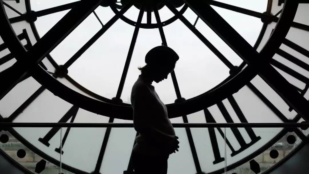 孕期怎么补营养,孕期都该补什么