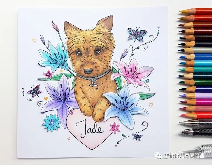 生日贺卡手绘简单可爱,生日贺卡手绘创意简单有色彩