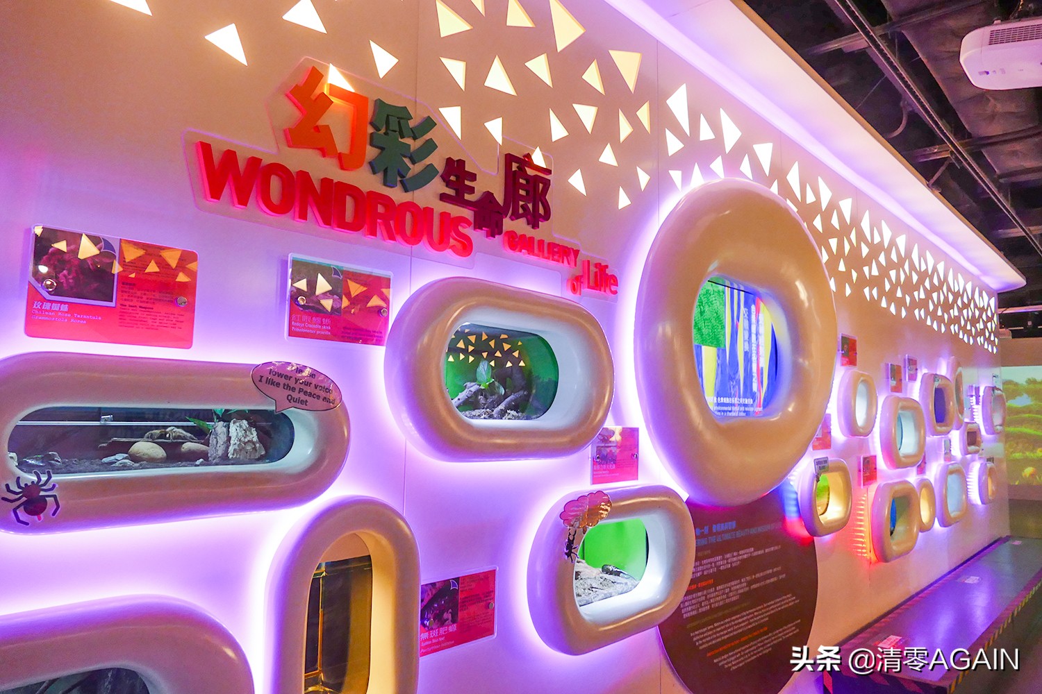 挖掘网红地x另类打卡挪亚方舟的文青路线