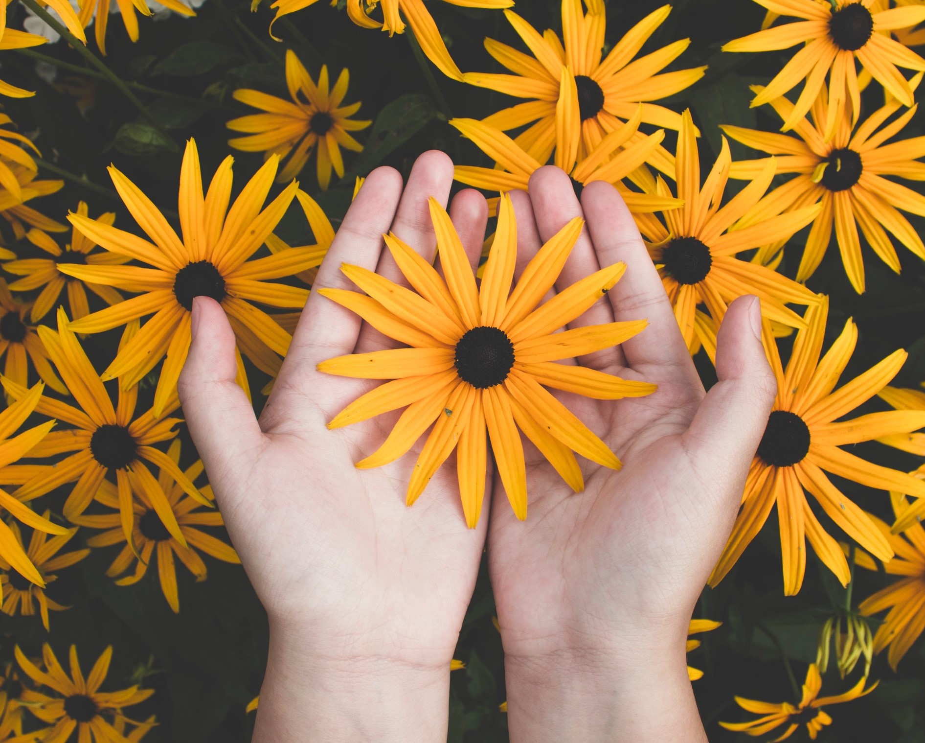 高情商女人的斩男术,高情商的女人攻心术