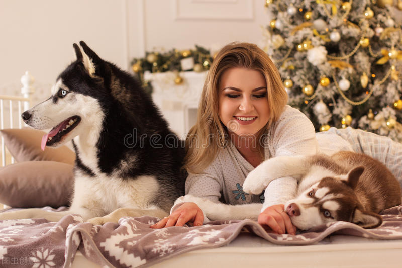 犬卵巢囊肿的症状,犬卵巢囊肿怎么才能消除掉