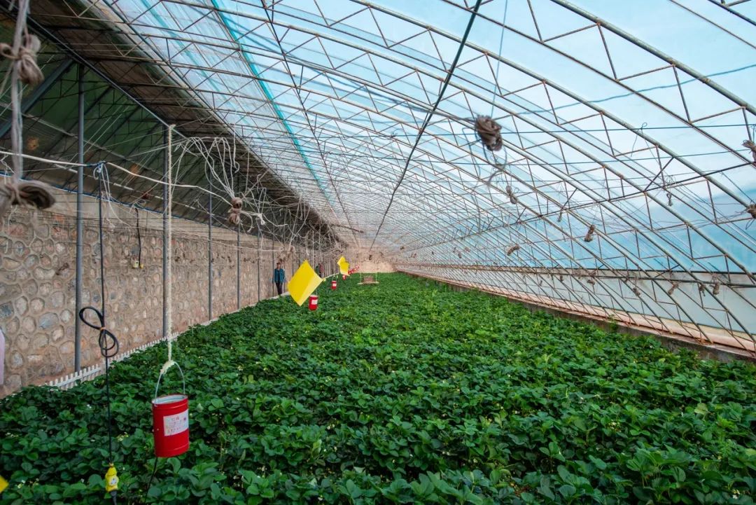 隐匿于大连的这片清澈之地，看的是蓝天白云，呼吸的是草木芬芳